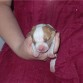 aki era una recien nacida aun!xD preciosa.....